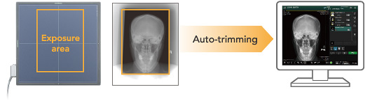 [Imagem] Dimensionamento automático da imagem para o tamanho apropriado